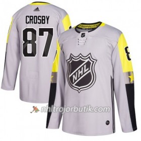 Pittsburgh Penguins Tröja Sidney Crosby 87 2018 NHL All-Star Metro Division Adidas Grå Authentic